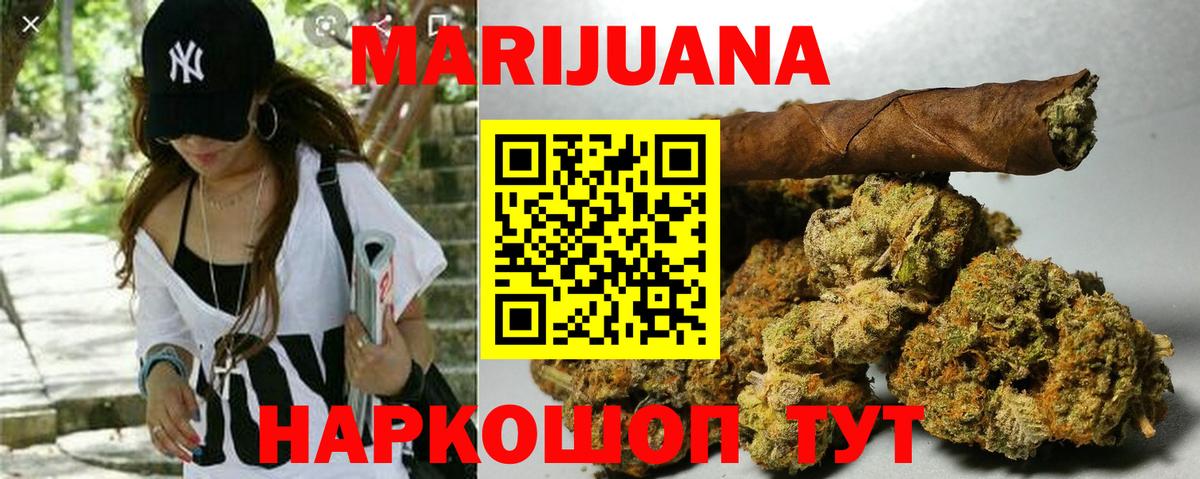 Котлас  Канабис гибрид  Вход с VPN  Шишки марихуана планчик  Марихуана сатива 